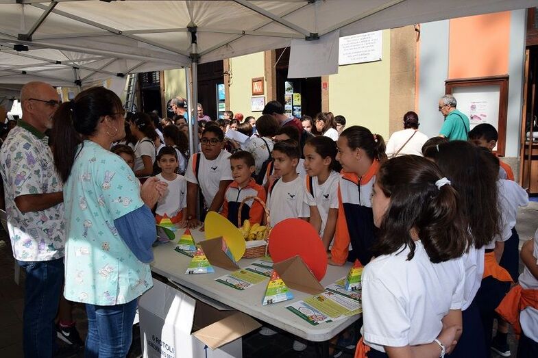 escolaressolidaridad1