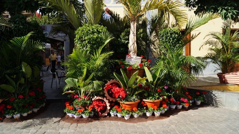 semana de las flores