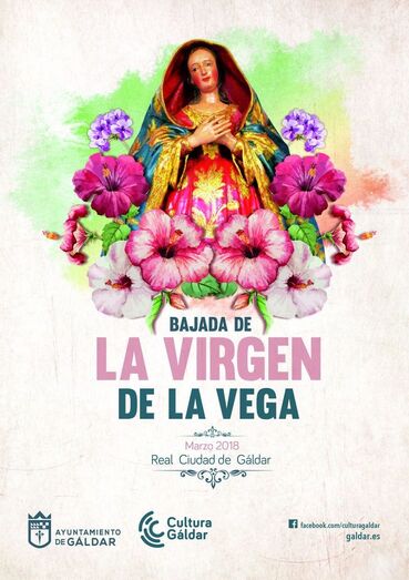 virgenvega cartel