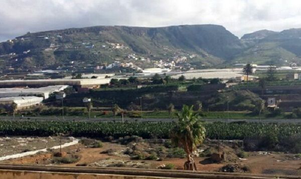 TERRENO FUTURO INSTITUTO