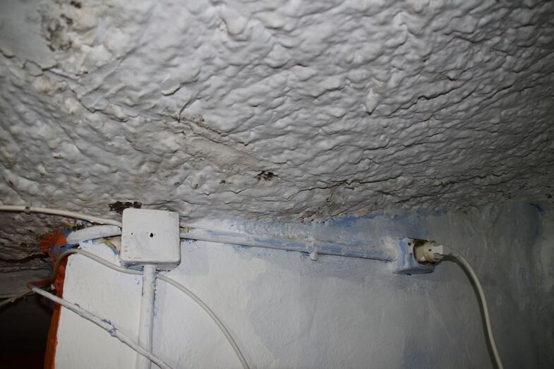juncalhumedadvivienda
