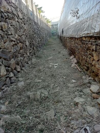 limpieza del draguillo