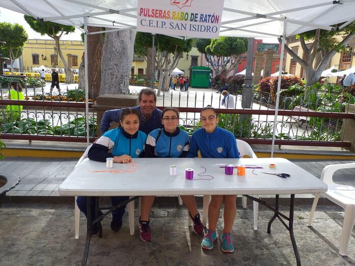 muestrasaludceipsanisidro201901