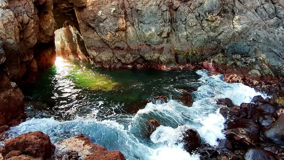 pasoelsargosardinadelnorte