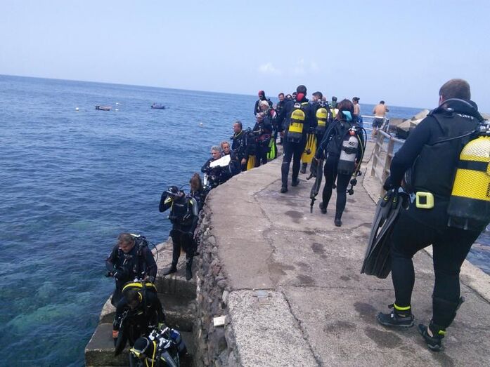 buceadoressardina20156