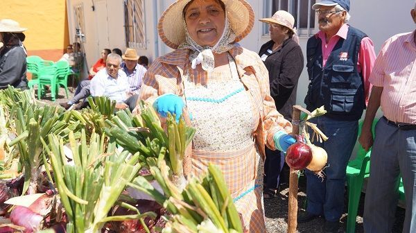 cebolla15
