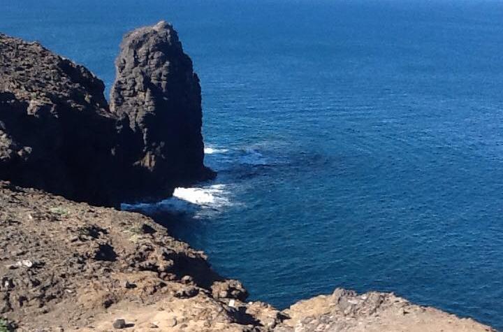 farallonsardinadesdearriba