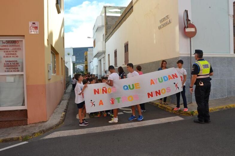 ceipsanisdrcarrerasolid8