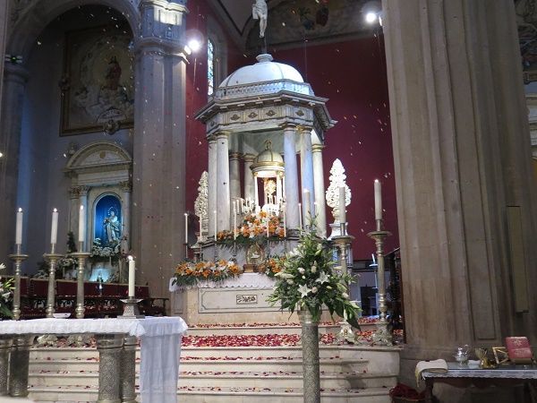 lluviaflores