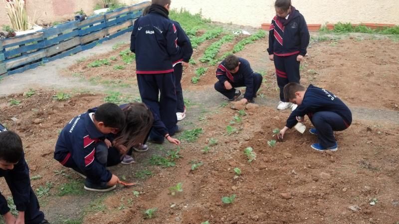 huertolosquintana1554