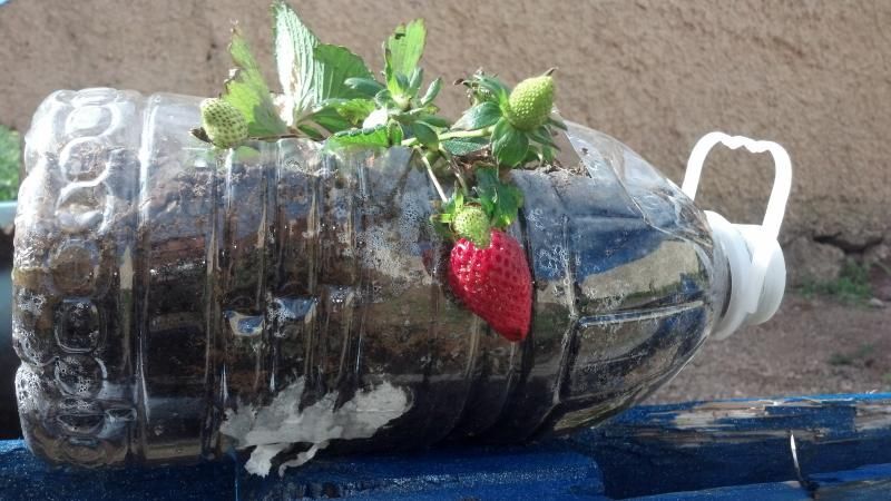 huertolosquintana1584