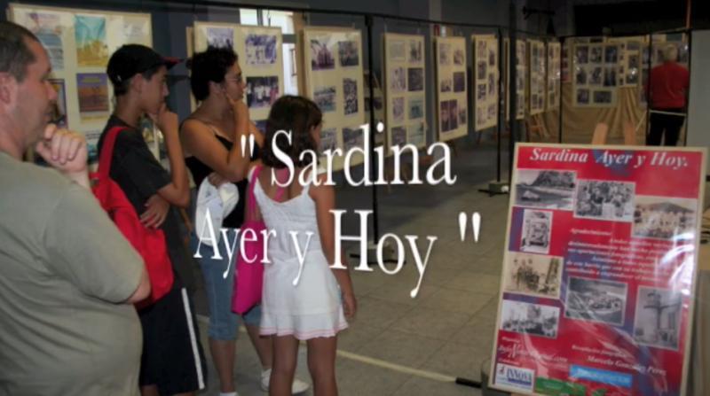 sardinaayeryhoy