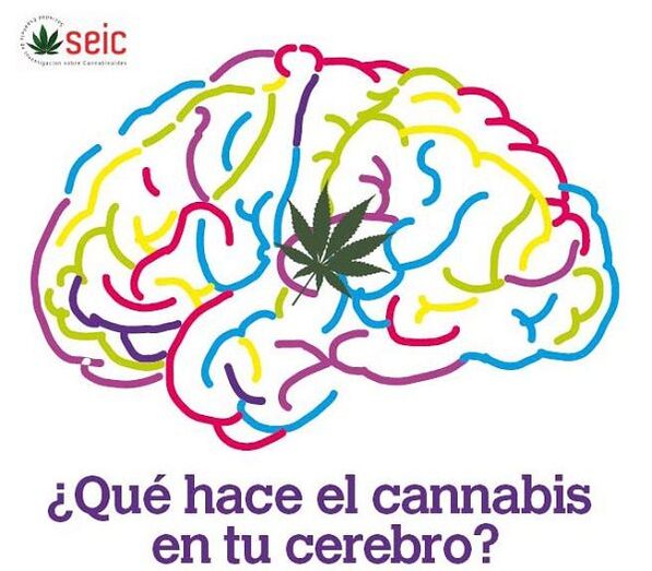 conferencia cannabis