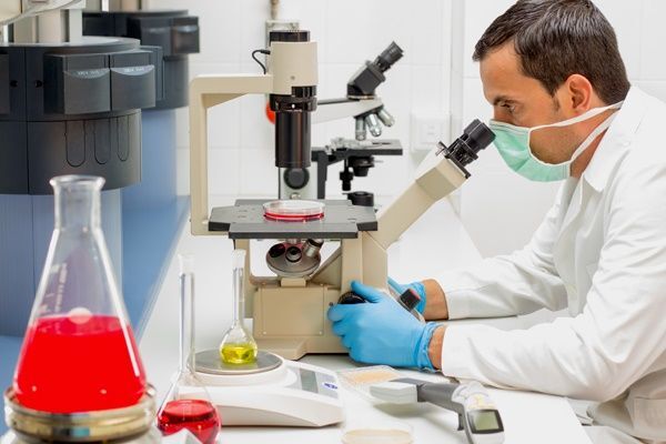 investigacion 7