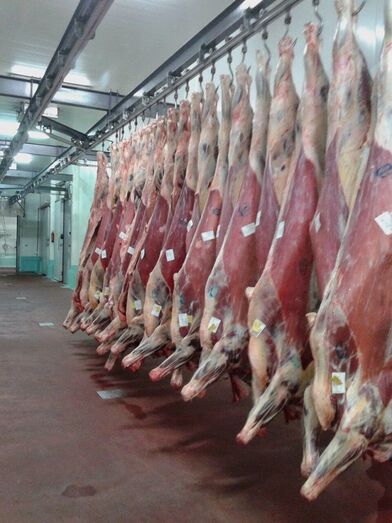 mataderos