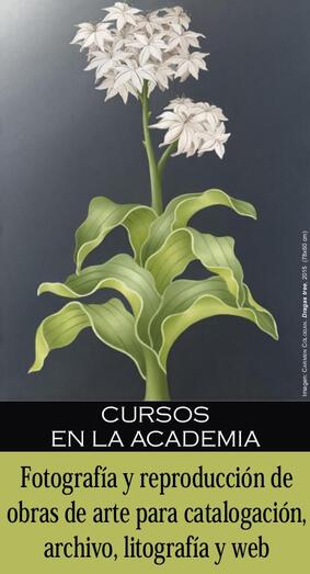 museocanariocursofotos