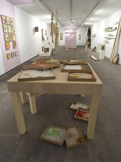 pacocruzobra expuesta 1