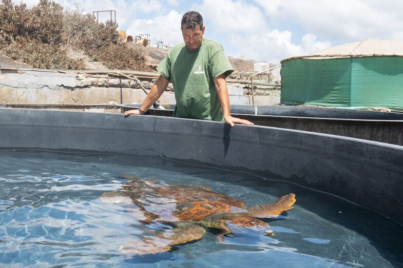 210809 centro rehabilitacion fauna 01 51390943445 o