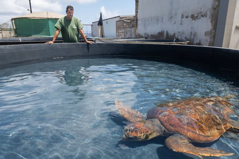 210809 centro rehabilitacion fauna 02 51389167342 o