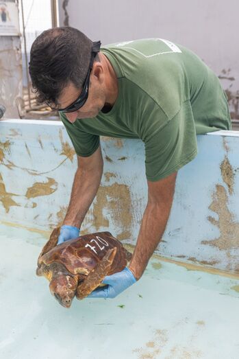 210809 centro rehabilitacion fauna 08 51390665069 o