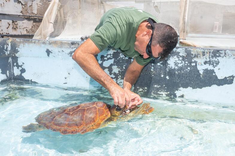 210809 centro rehabilitacion fauna 09 51389167052 o