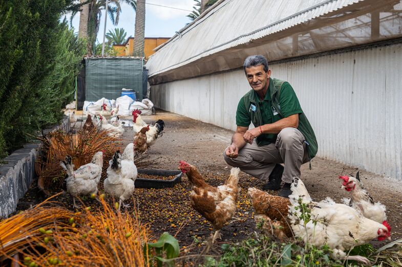 210809 vivero tafira 01 51389169847 o