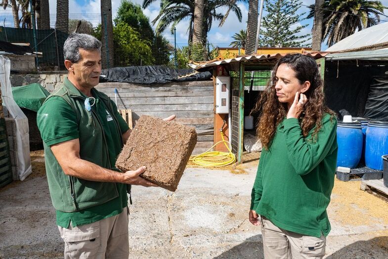 Iballa de Vicente y a Juan Garcia Medina vivero de tafira