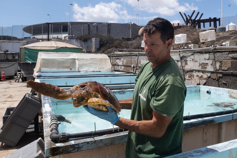 Miguel Javier Garcia Florido centro rehabilitacion fauna1