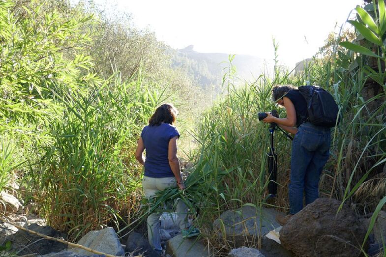 agostobiosfera