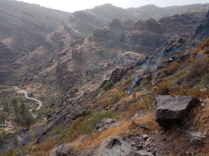 conatofuegomogan2021