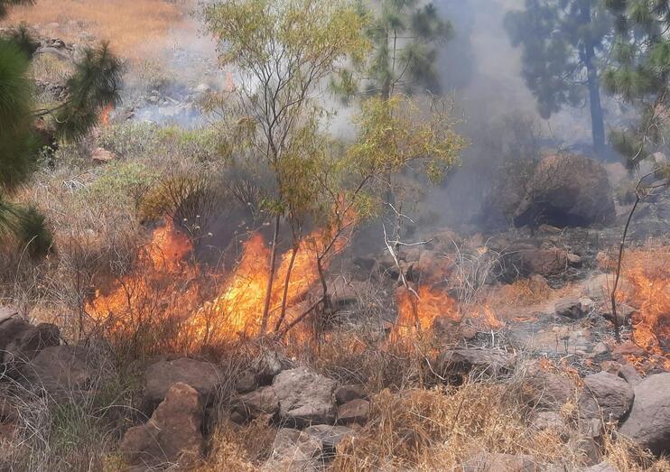 conatoincendiomogan1006202102