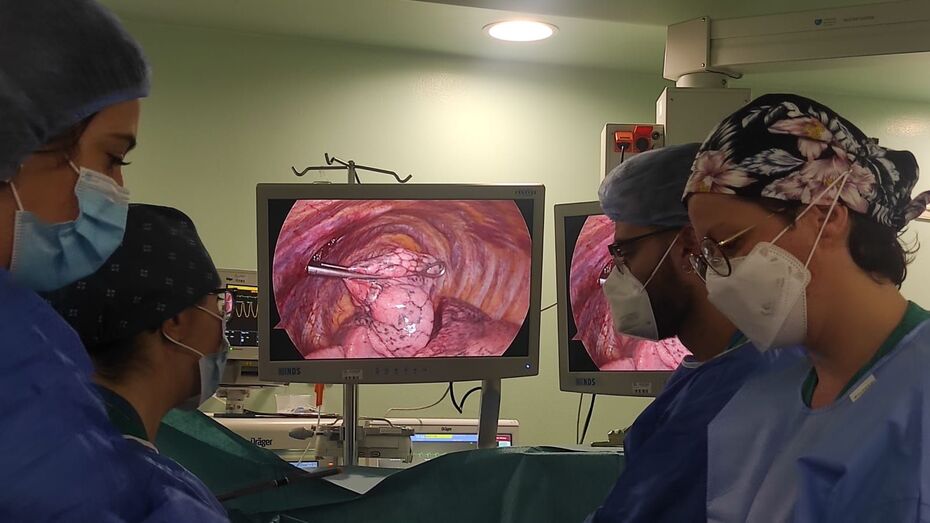 operaciondiciembrenegrin