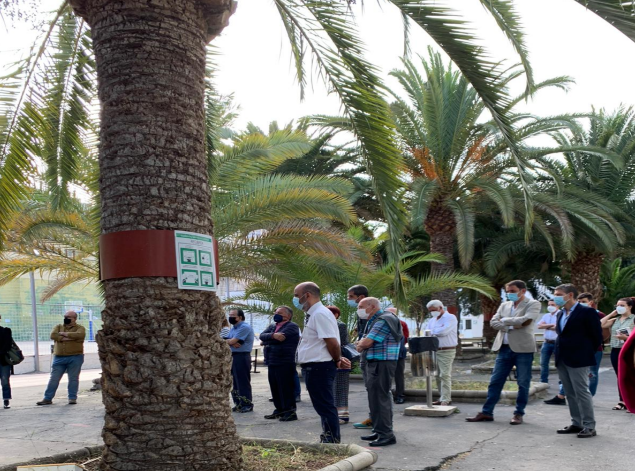 palmeralnobleperezgaldos