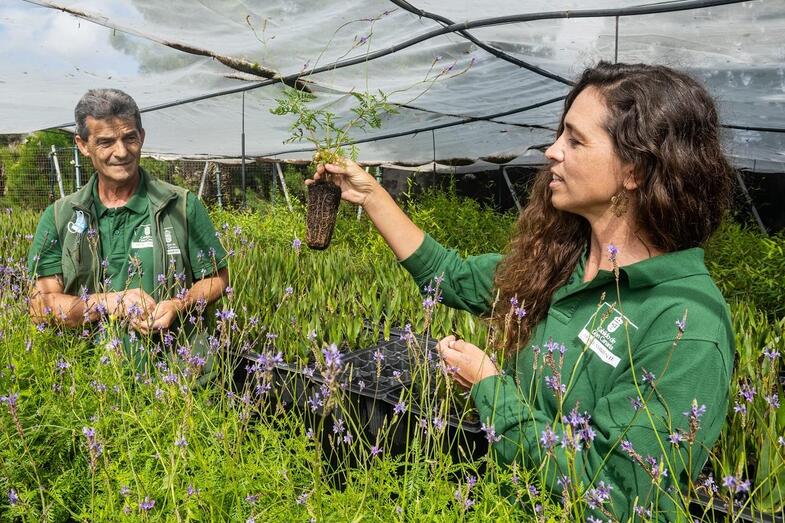 vivero tafira Iballa de Vicente y a Juan Garcia Medina 1
