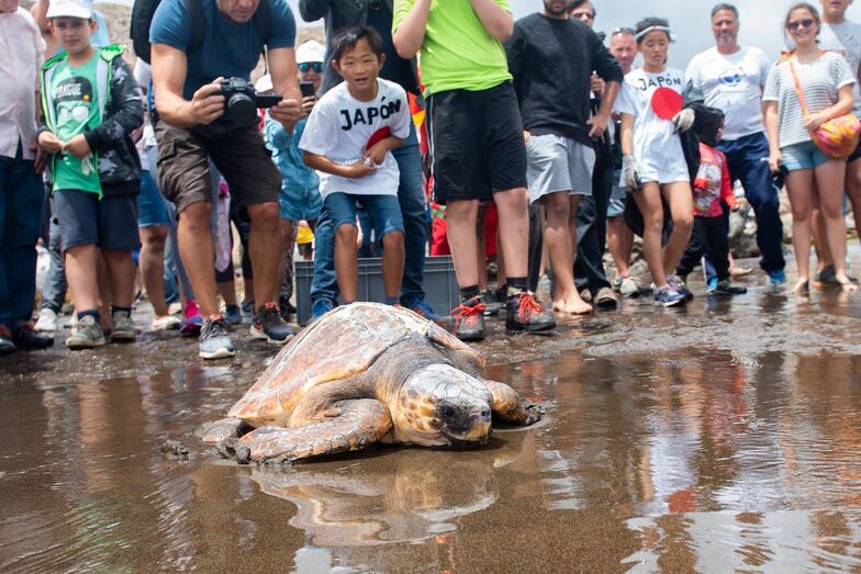 48024079173 d3adf4ac9b h