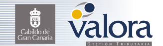 logo valora