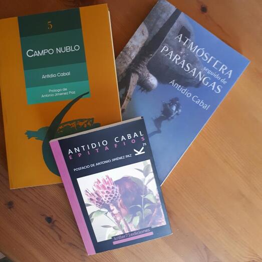 mesa redonda antidio cabal