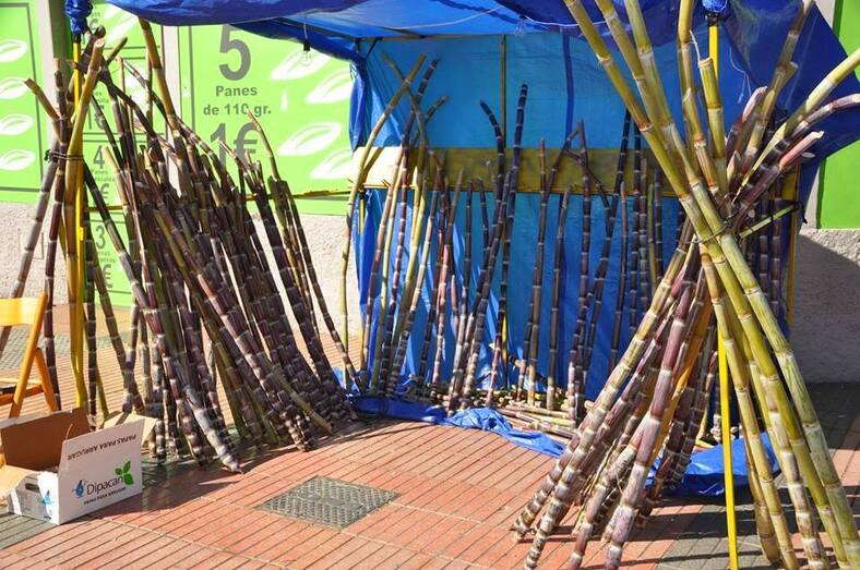 79663654 2781830225207819 1838462091082596352 n