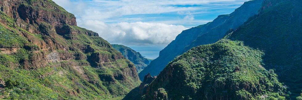 Barranco de Guayadeque 2016 06