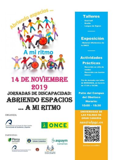 carteljornadas dis19