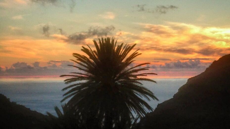 cielopalmeraignaciolugo