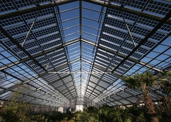 paneles solares para invernaderos semi transparentes