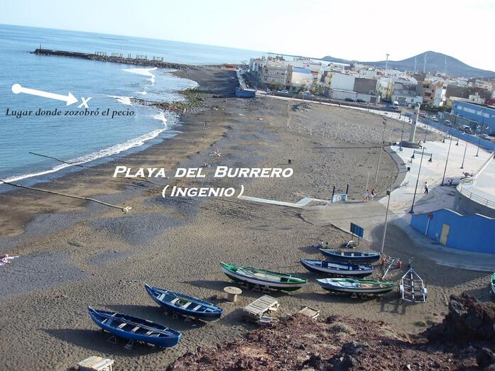 PLAYA DEL BURRERO INGENIO