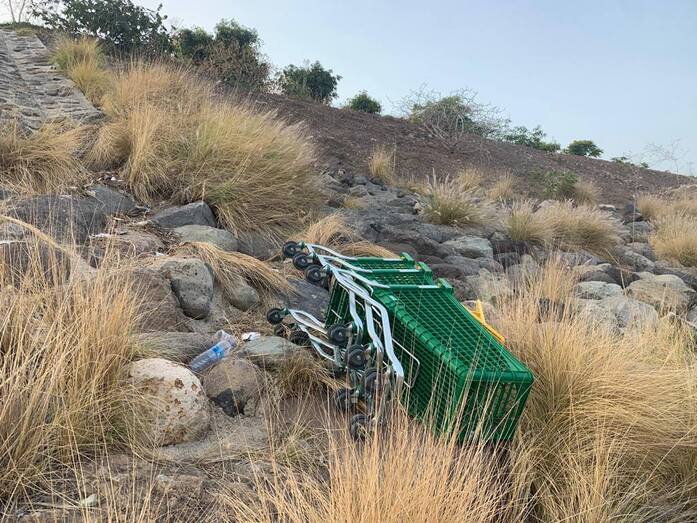 barrancotamaracei202002