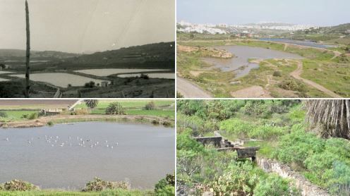 parque agro