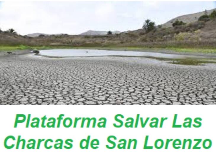 plataformacharcasslorenzo