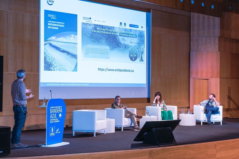 52474911728 1000c155f8 h