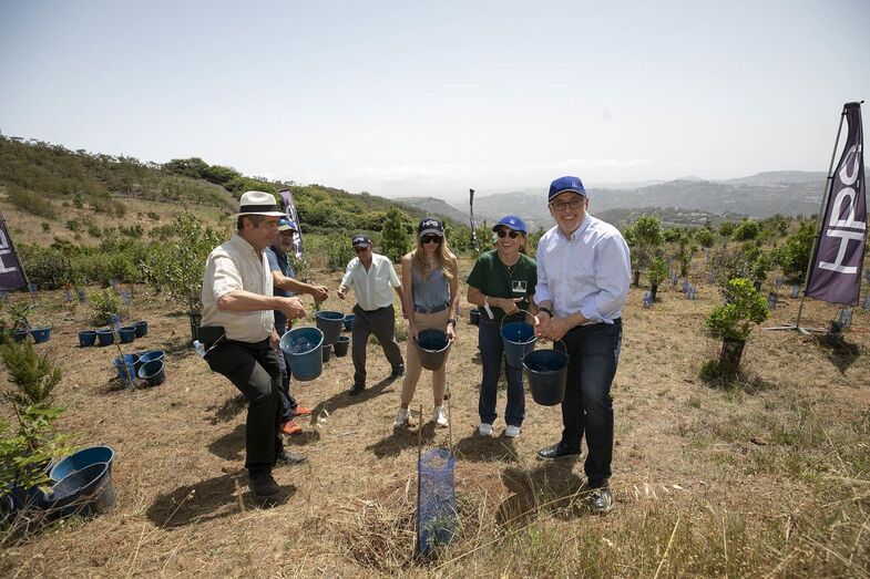 actoreforestacionjulio