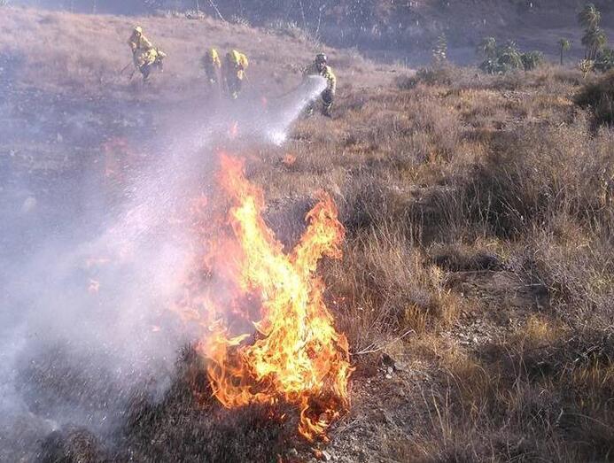 incendioforesta20154
