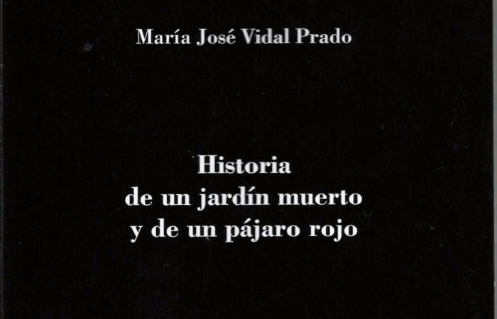 portadavitrubio